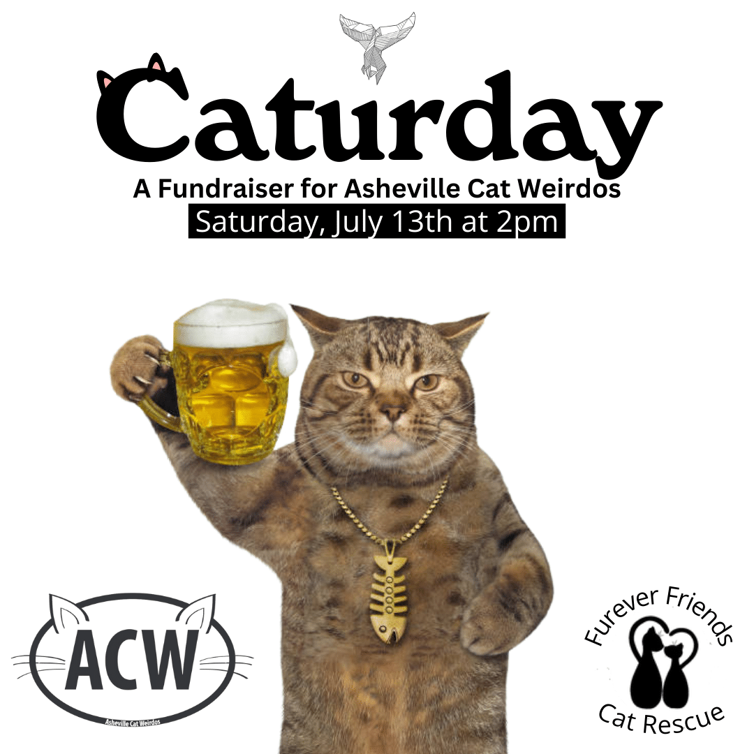 Caturday :: Asheville Cat Weirdos Fundraiser