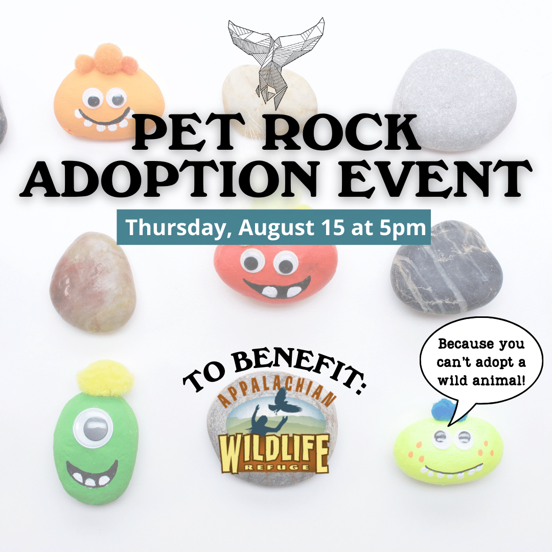 Pet Rock Adoption Event