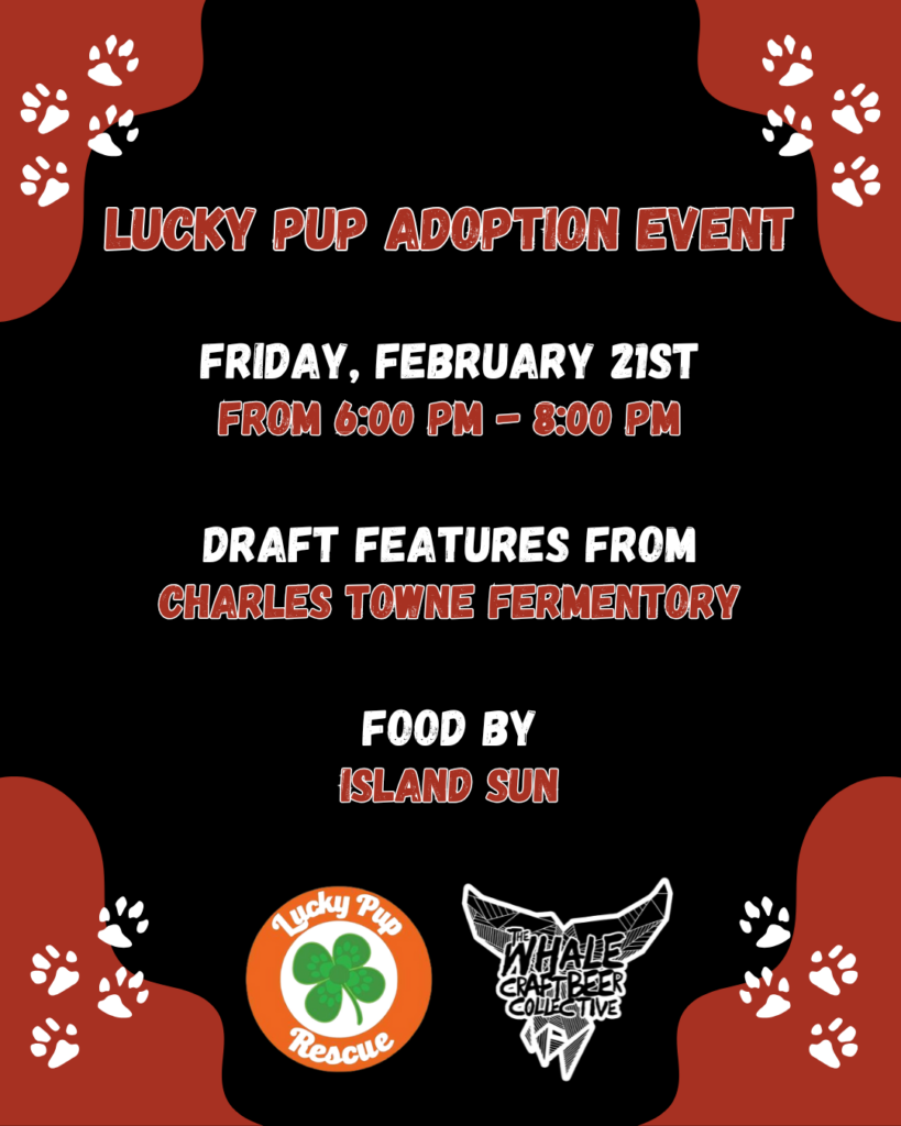 Lucky Pup Static 1