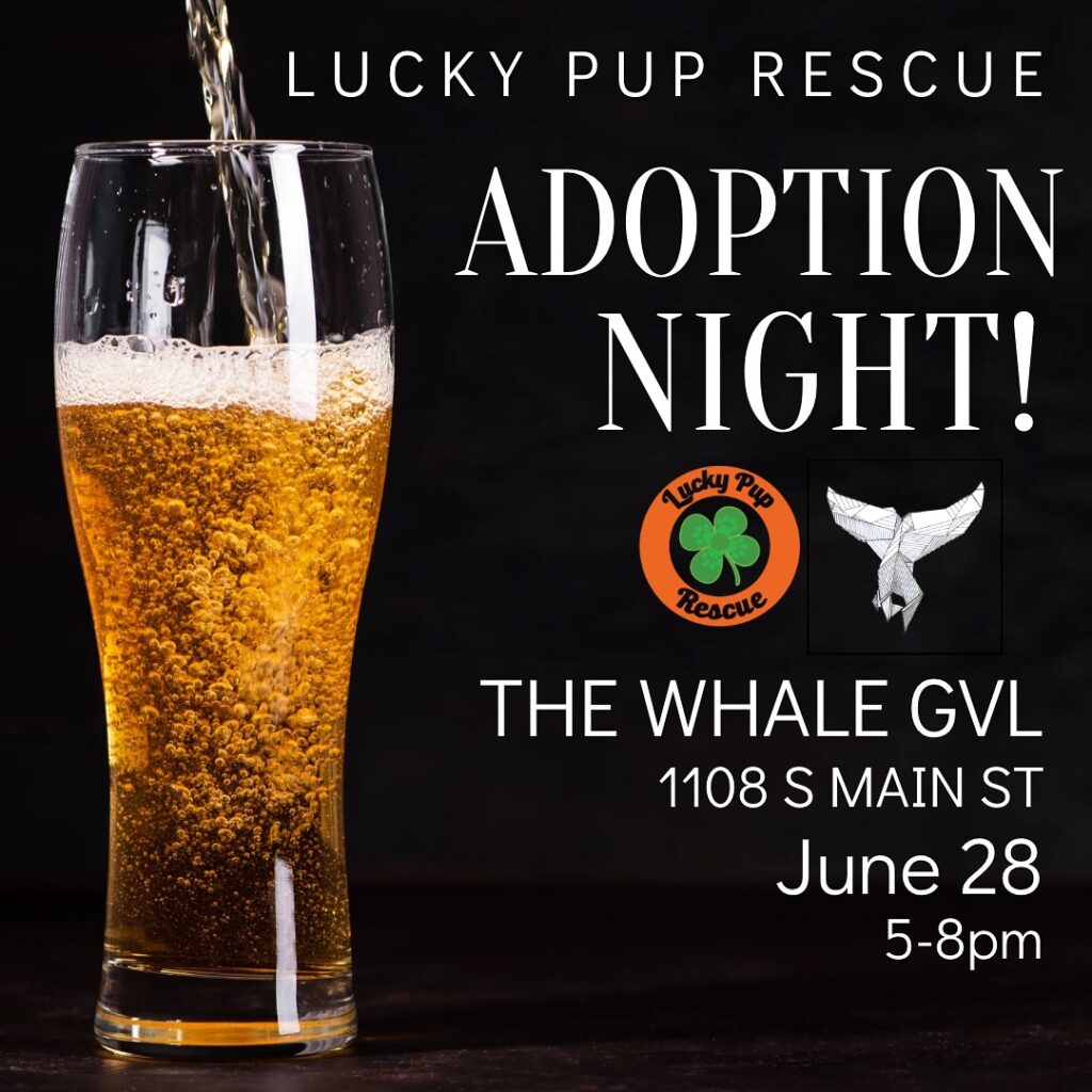 Go ahead and put it on your calendarYou wont want to miss THIS adoption nightCome have a 🍺 with us and meet all the Lucky Pups